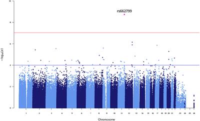 Corrigendum: Genetic Determinants of Visit-to-Visit Lipid Variability: Genome-Wide Association Study in Statin-Naïve Korean Population